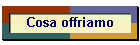Cosa offriamo